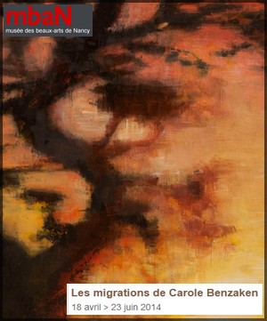Muse des Beaux-Arts de Nancy - Exposition : Les migrations de Carole Benzaken