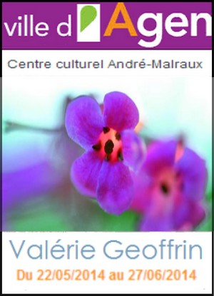 Centre culturel Andr-Malraux, Agen - Exposition : De la Maison au Lac - Valrie Geoffrin & 14me concours France Liberts 47 - Leau en libert