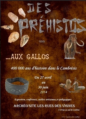 Archo'Site, Cambrai - Exposition : Des Prhistos aux Gallos