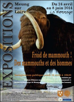 Muse municipal Espace Culturel La Monnaye, Meung-sur-Loire - Exposition : Froids de Mammouth ! et Des mammouths et des Hommes