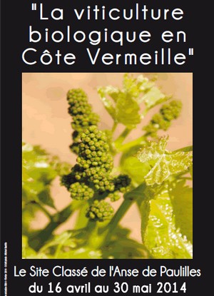 Site de l'anse de Paulilles, Port Vendres - Exposition : La viticulture biologique en Cte Vermeille