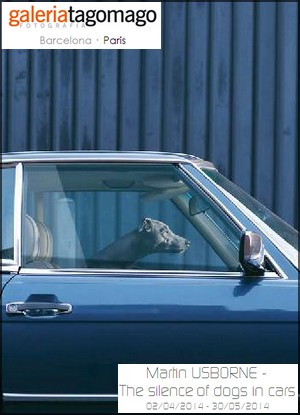 Galerie Tagomago - Exposition : Martin Usborne, The silence of dogs in cars