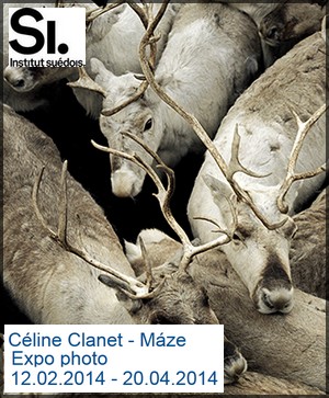 Institut Sudois - Exposition : Cline Clanet - Mze