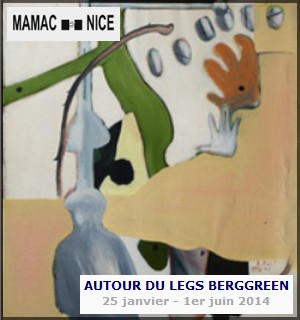 MAMAC Nice - Exposition : Autour du legs Berggreen