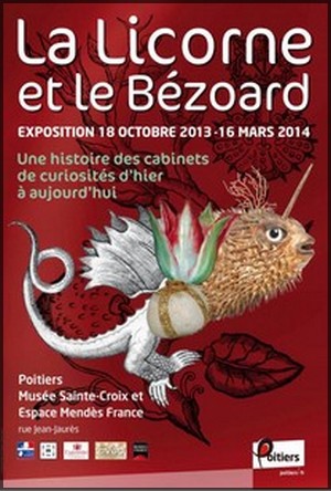 Muse Sainte-Croix, Poitiers - Exposition La licorne et le bzoard, une histoire des cabinets de curiosits