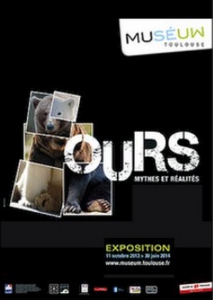 Musum de Toulouse - Exposition : Ours, Mythes et ralits