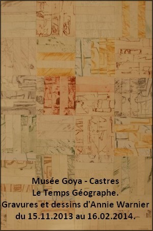 Muse Goya, Castres - Le Temps Gographe