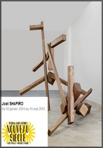 Joel Shapiro, Muse d'art moderne Saint-Etienne Mtropole