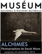 Museum National d'Histoire Naturelle - Exposition Sarah Moon, Alchimies